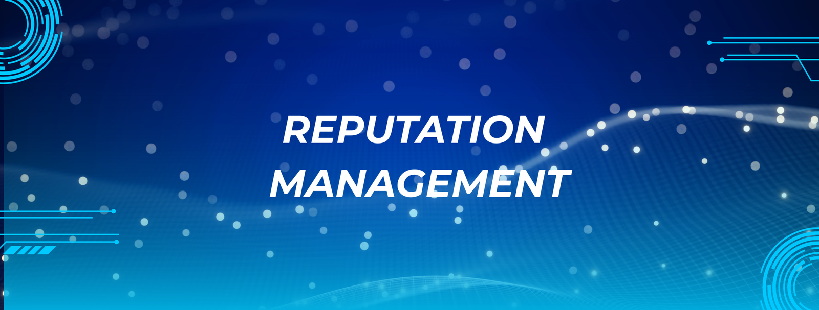 Reputation Management reputation management